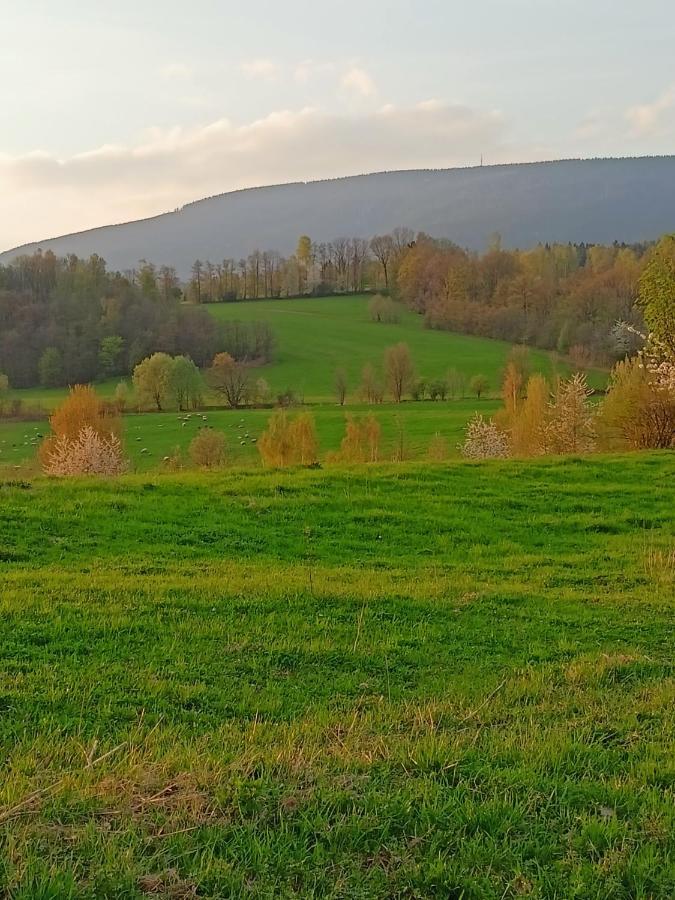 Kotelna *